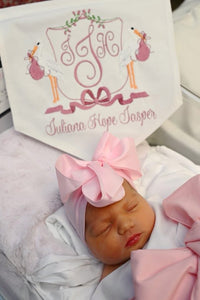 Baby Announcement Banner- Girl Stork