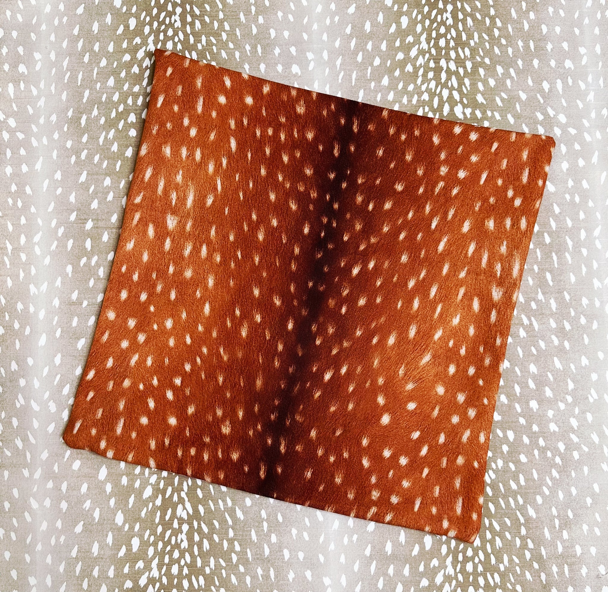 Melissa Spearman- 20x20" Pillow Cover