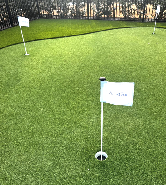 Karsen Walker- Set of 2 Putting Green Flags