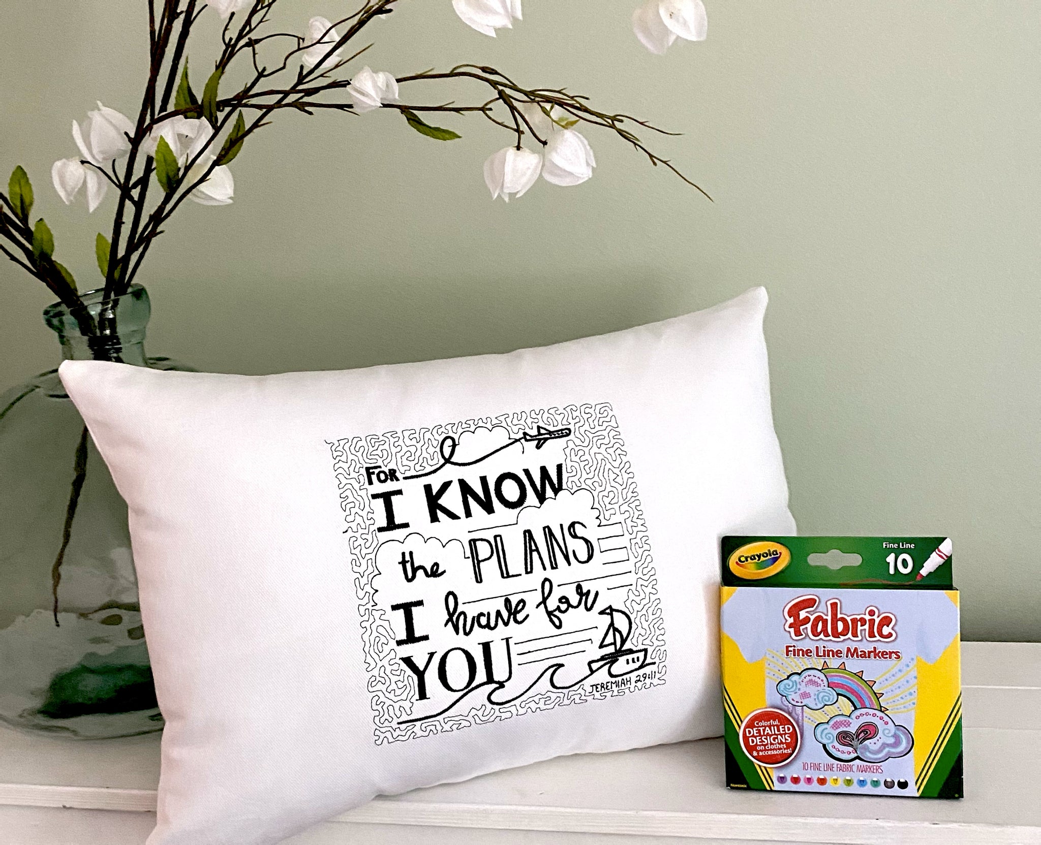For A Cause Coloring I Know the Plans Pillow