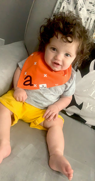 Diaper Squad Baby Bibs