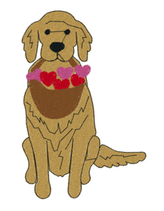 Valentine's Boy Pup