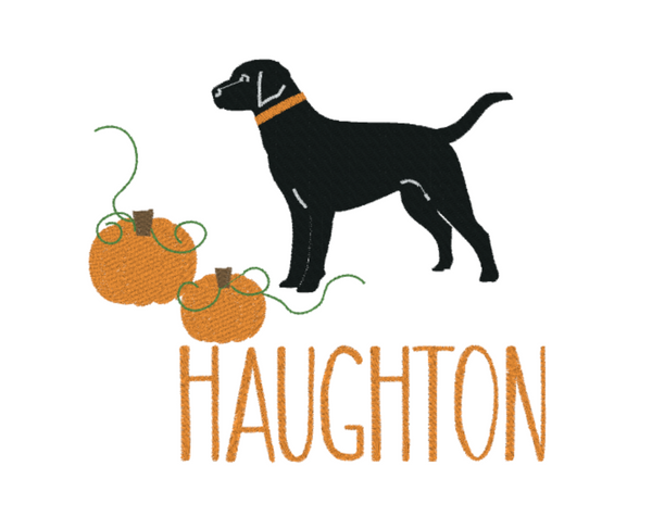 Black Lab & Pumpkins