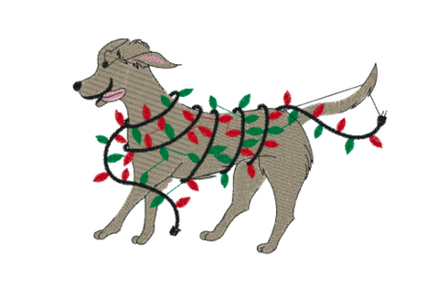 Pup with Christmas Lights