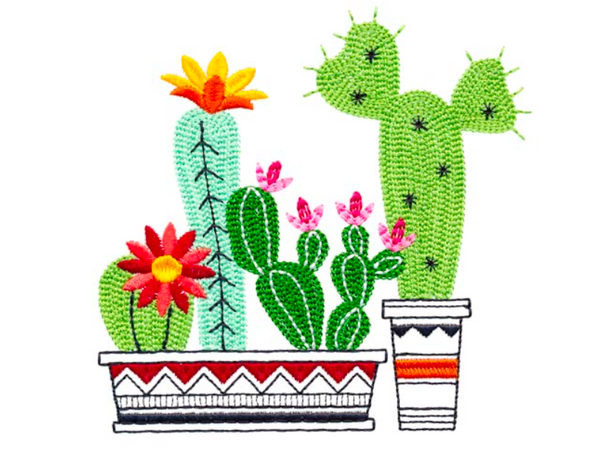 Quadruple Cactus