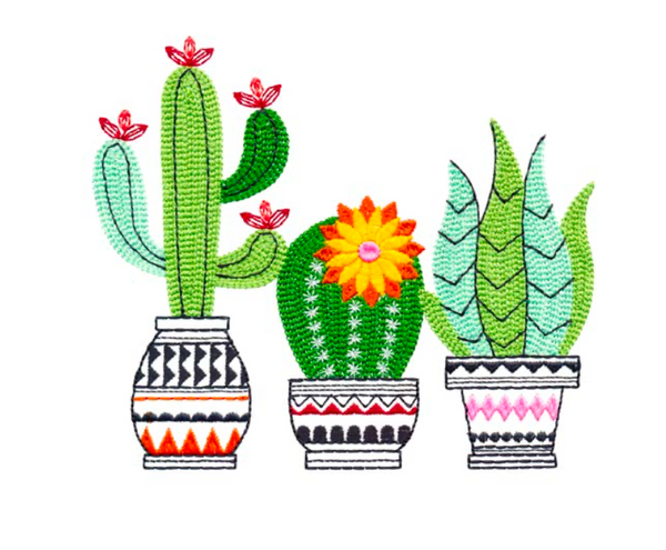 Triple Cactus