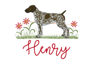 Pointer Design
