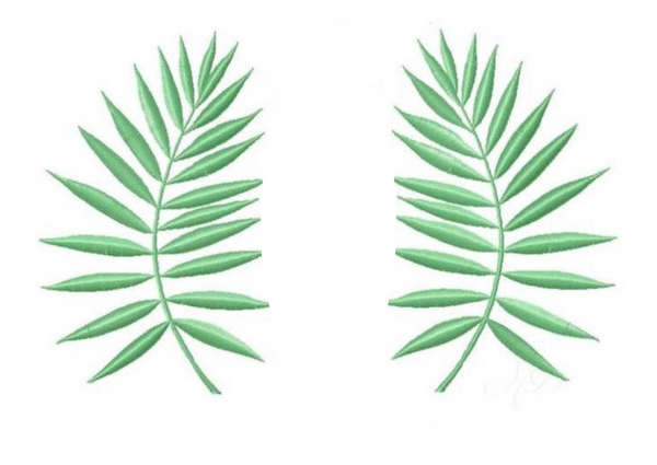 Palm Leaves Design