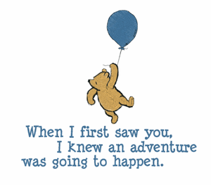 Adventure Awaits Pillow
