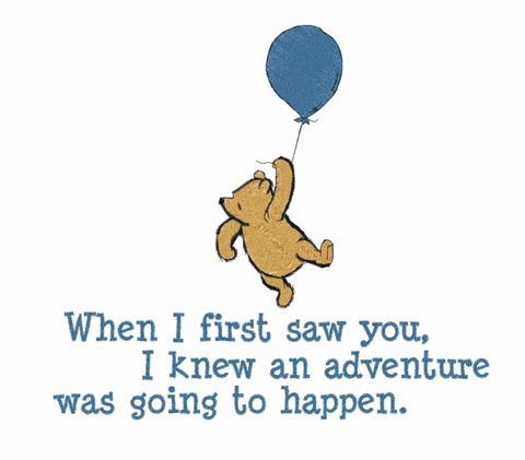 Adventure Awaits Pillow
